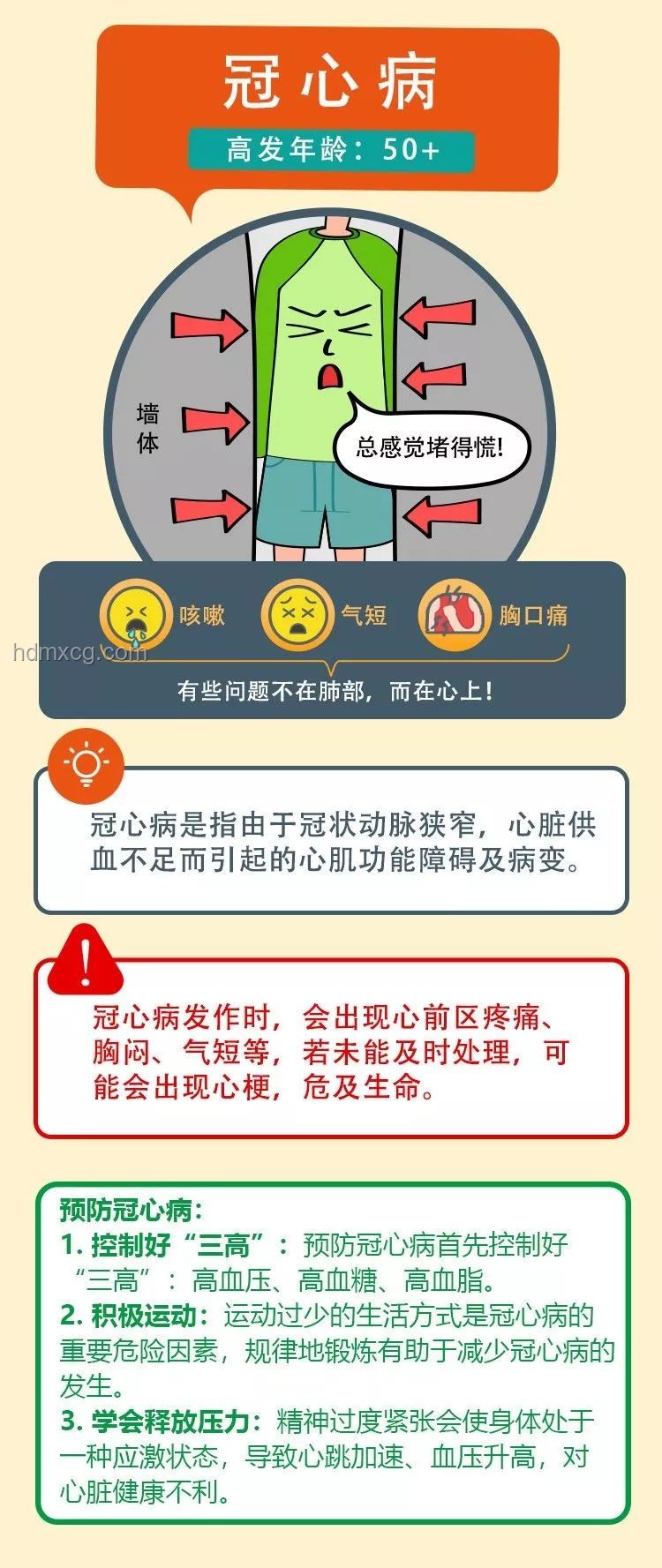 遗失的心跳：理解心脏疾病复发与预防